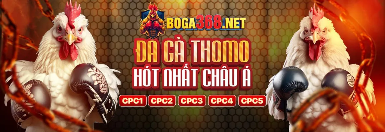 Hỗ trợ khách hàng 24/7